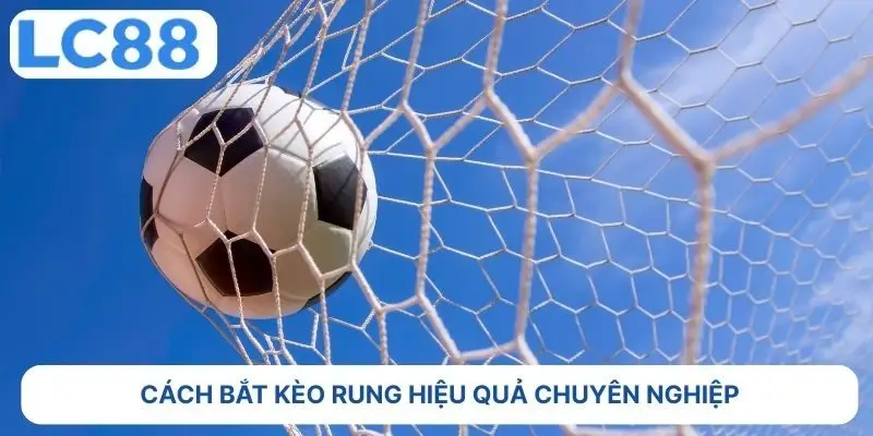 Cách bắt kèo rung hiệu quả chuyên nghiệp