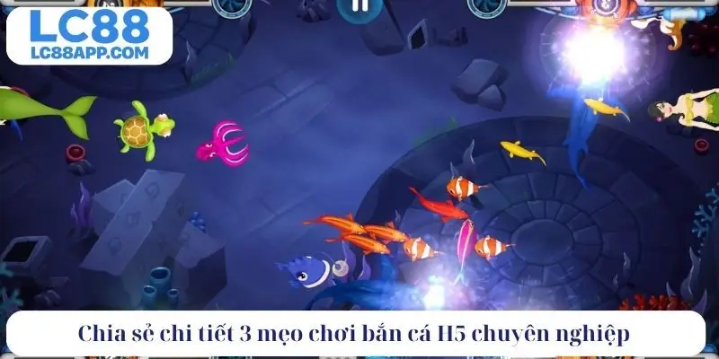 Chia sẻ chi tiết 3 mẹo chơi bắn cá H5 chuyên nghiệp