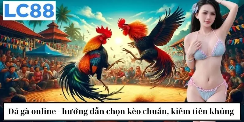 Đá gà online - hướng dẫn chọn kèo chuẩn, kiếm tiền khủng